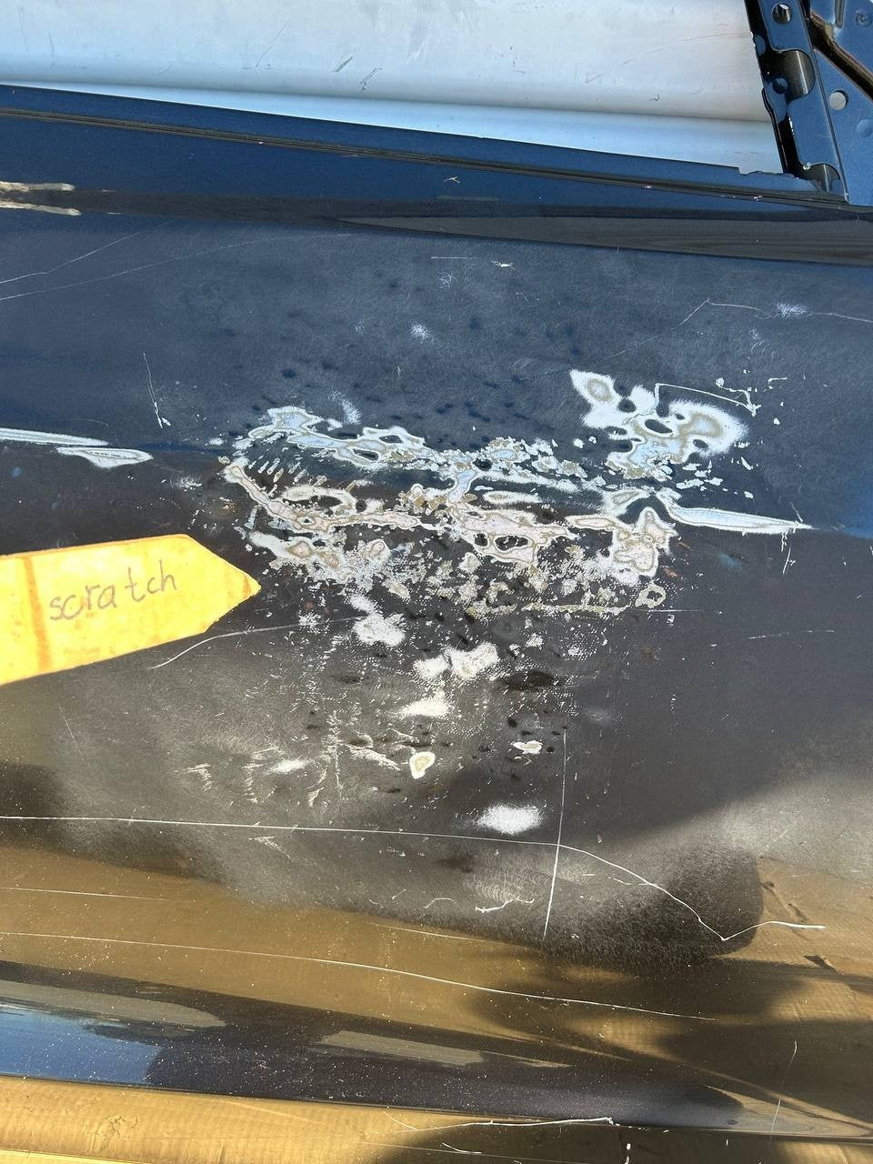 ✅ 2024+ Tesla Model 3 Highland Front Right Side Door Shell Gray w/scratches