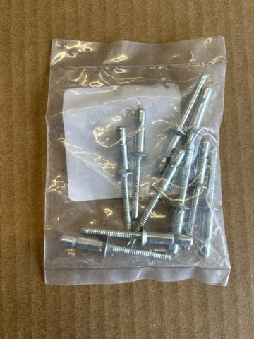 ✅Tesla Model 3 Countersunk Structural Rivet 4.8mm 3.18-8.41 OEM 106932600 10 PCS